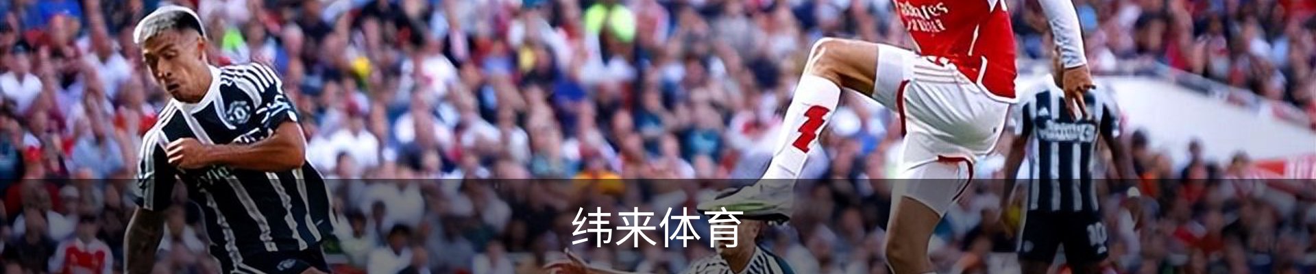 纬来体育